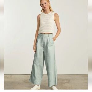 Everlane The Tourist Pant